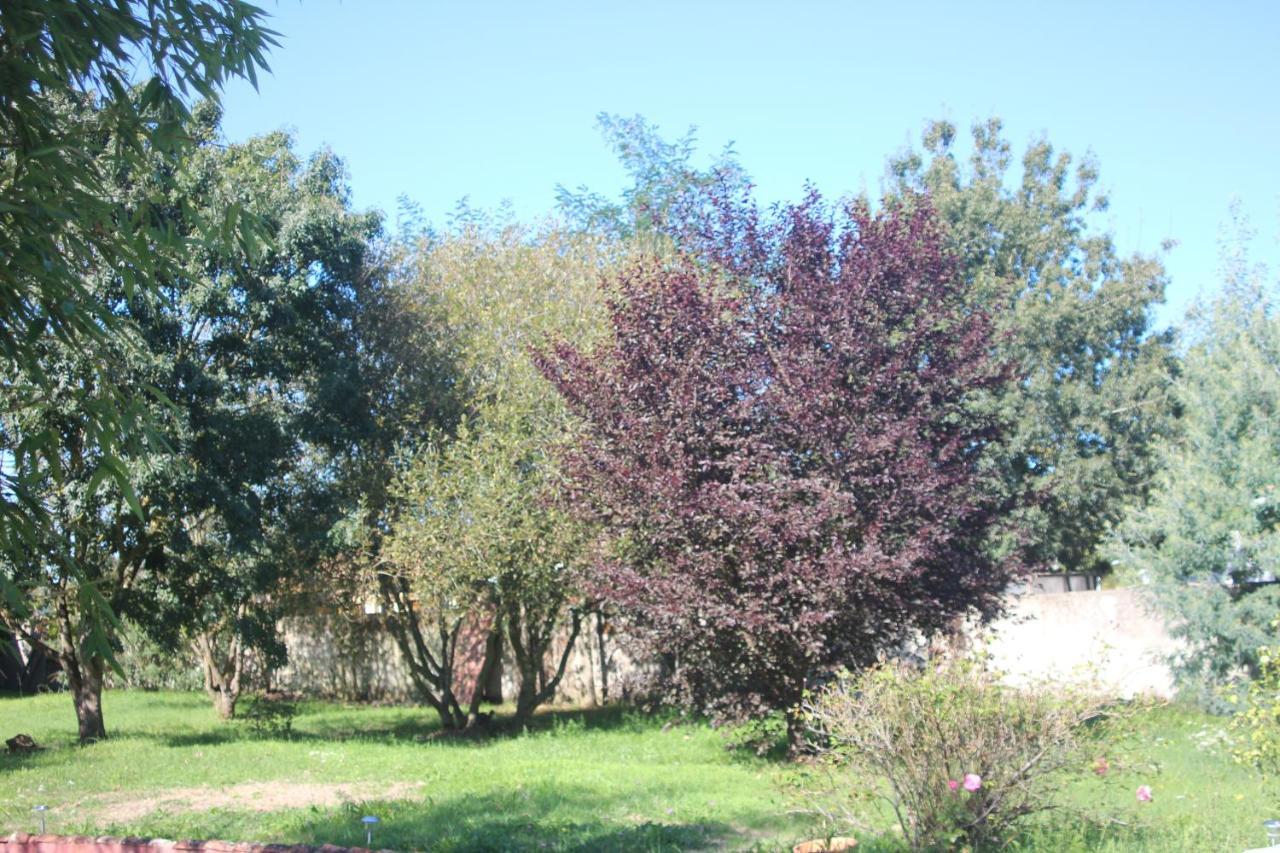 L Entredeux Apartamento Saint-Viaud Exterior foto